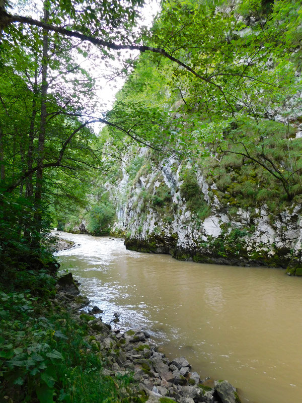 Rijeka Prača