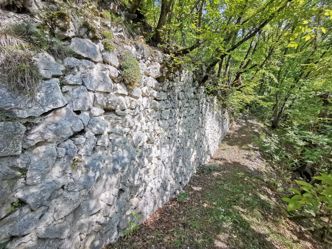 Zidine starog grada Borač