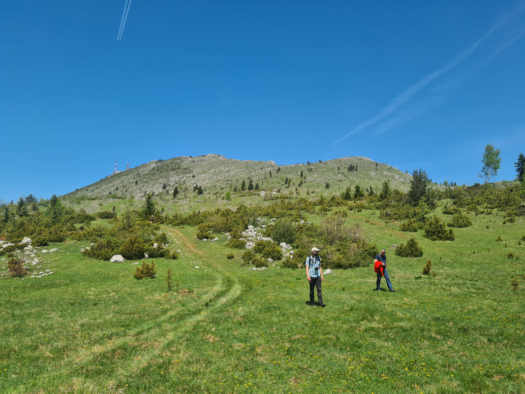 Jugozapadni obronci Trebevića, u daljini najviši vrh