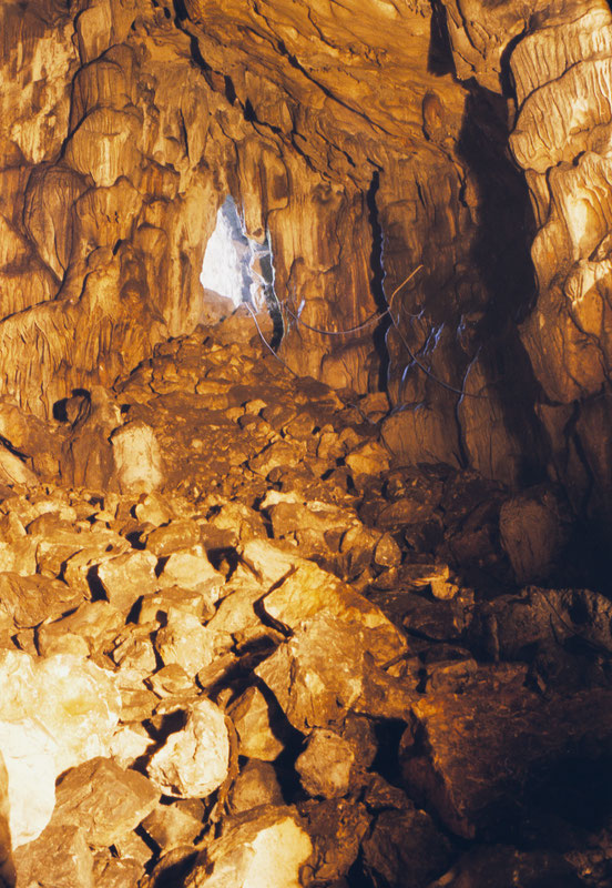 Pogled na ulaz iz unutrašnjosti pećine