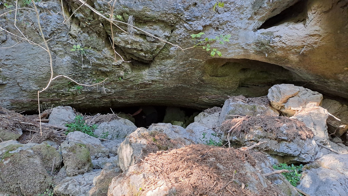 Ulaz u Veliku pećinu