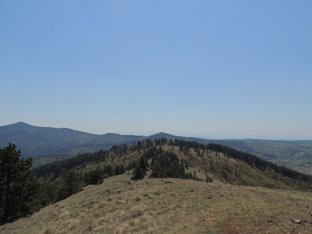 Sa vrha Gostilj ka jugoistoku, lijevo najviši vrh Ozrena - V. Ostravica