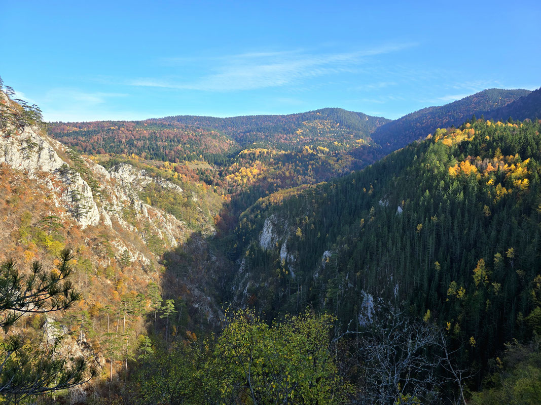 Kanjon Brusničkog potoka